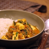 Baby-friendly Curry with Paneer & Spinach