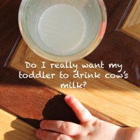 Do I really want my toddler to drink Cow's milk?